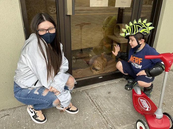 Bergenfield Animal Clinic Picture 10