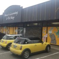 Maser's Grooming and Pet Boutique, inc ico