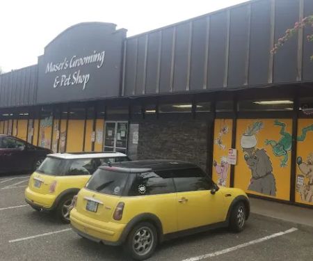 Maser's Grooming and Pet Boutique, inc