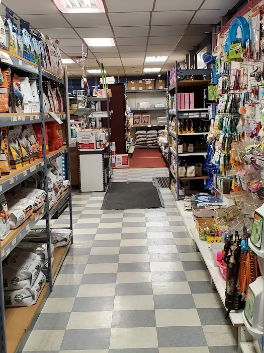 Maser's Grooming and Pet Boutique, inc Picture 9