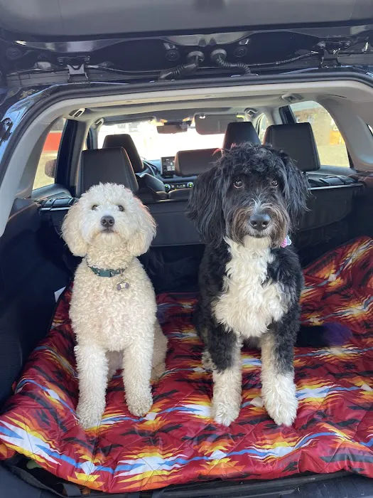 Maser's Grooming and Pet Boutique, inc Picture 6