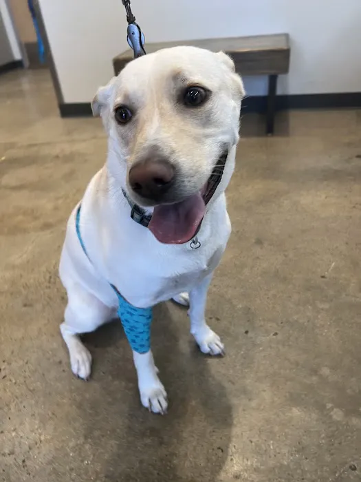 Vetco Total Care Animal Hospital Picture 4