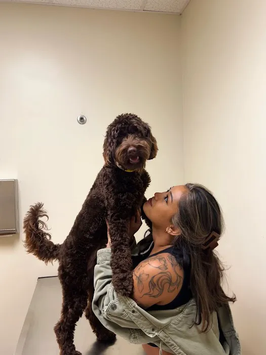 Vetco Total Care Animal Hospital Picture 7