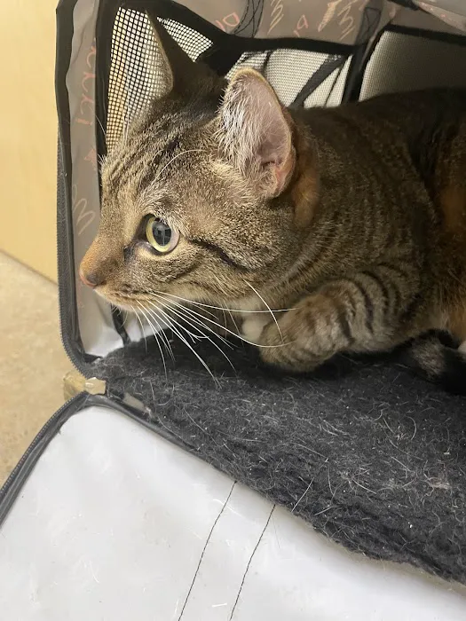 Vetco Total Care Animal Hospital Picture 3