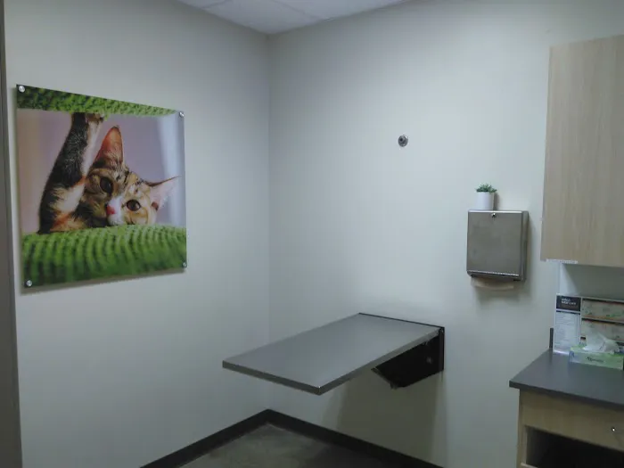 Vetco Total Care Animal Hospital Picture 8