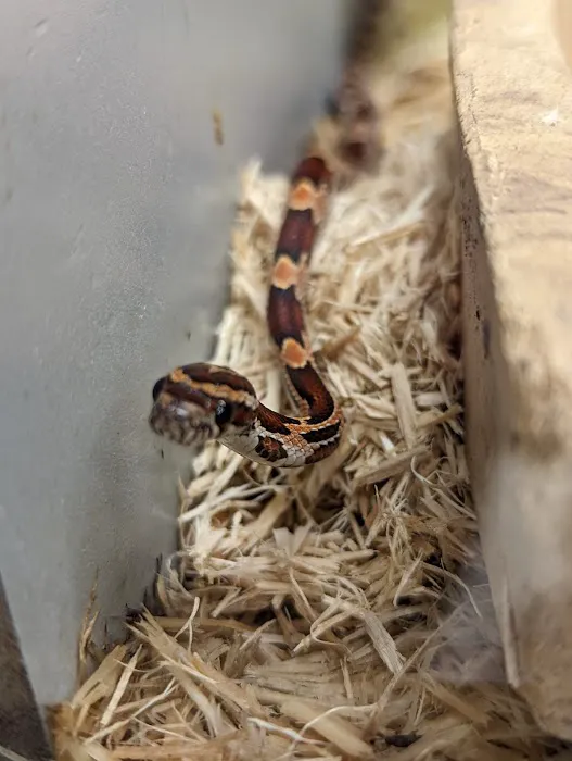 Petco Picture 3