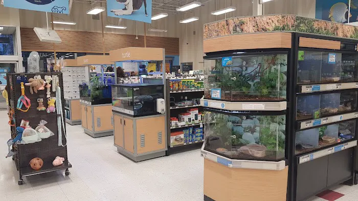 Petco Picture 8