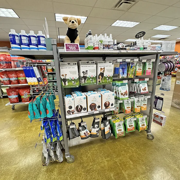 All The Best Pet Care - Kenmore Picture 8