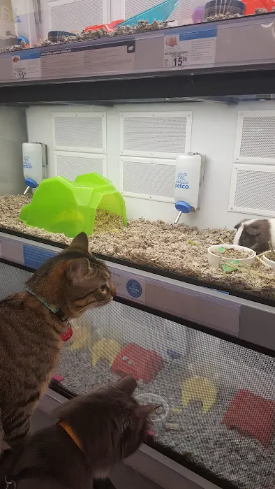 Petco Picture 10
