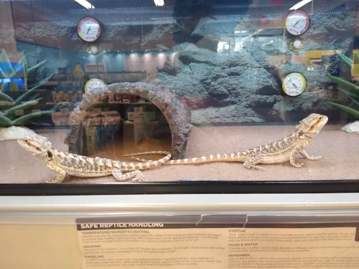 Petco Picture 5