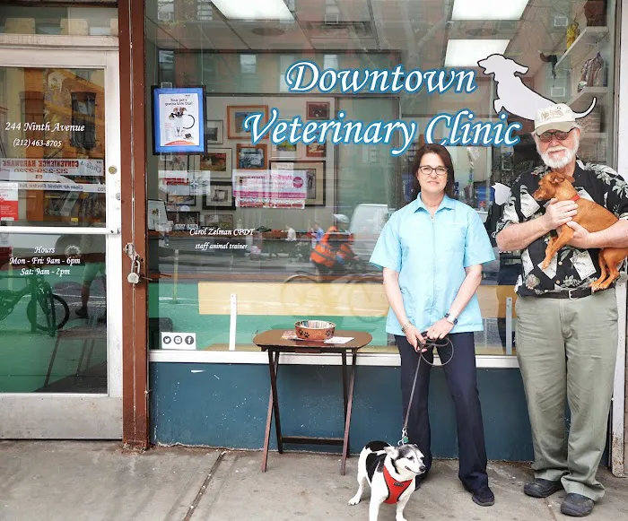 Downtown Veterinary Clinic Picture 8