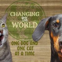 All The Best Pet Care - Redmond ico