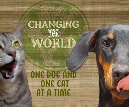 All The Best Pet Care - Redmond