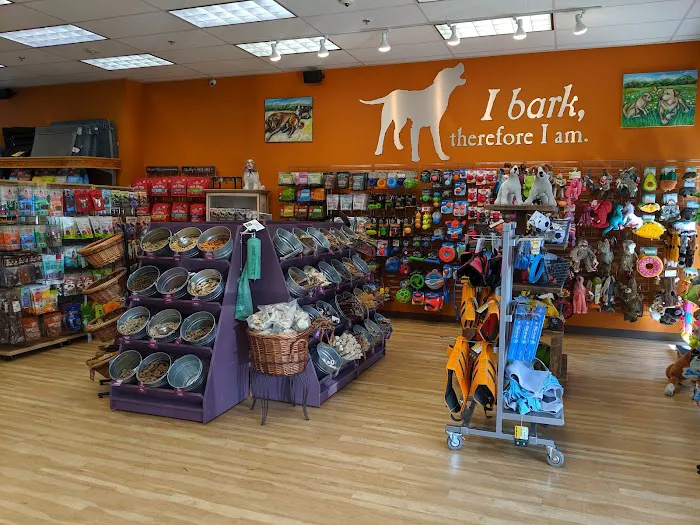 All The Best Pet Care - Redmond Picture 8