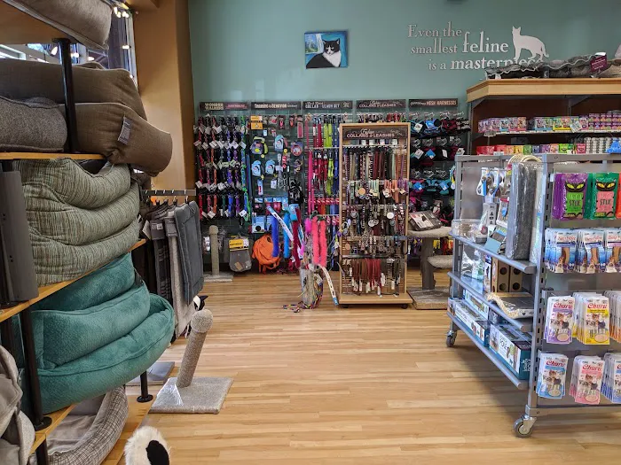 All The Best Pet Care - Redmond Picture 3