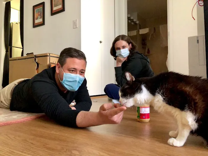 VetCierge Veterinary House Calls Picture 3