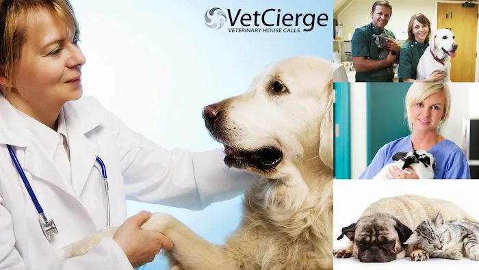 VetCierge Veterinary House Calls Picture 2