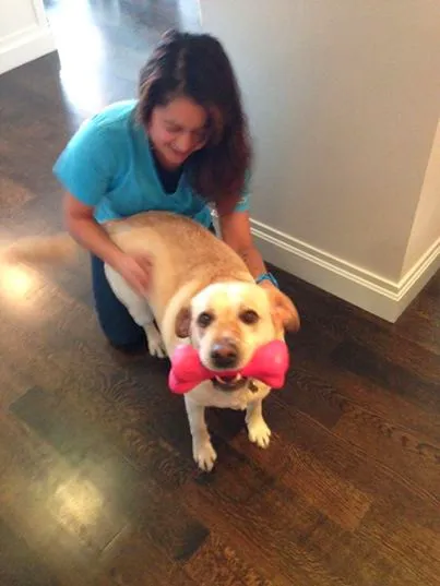 VetCierge Veterinary House Calls Picture 5