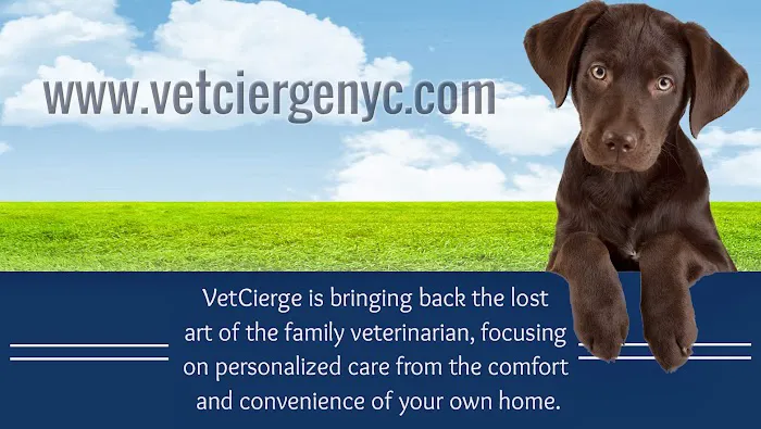 VetCierge Veterinary House Calls Picture 6
