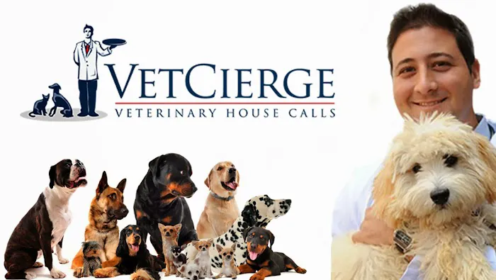 VetCierge Veterinary House Calls Picture 8