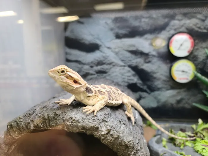 Petco Picture 9