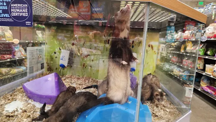 Petco Picture 1