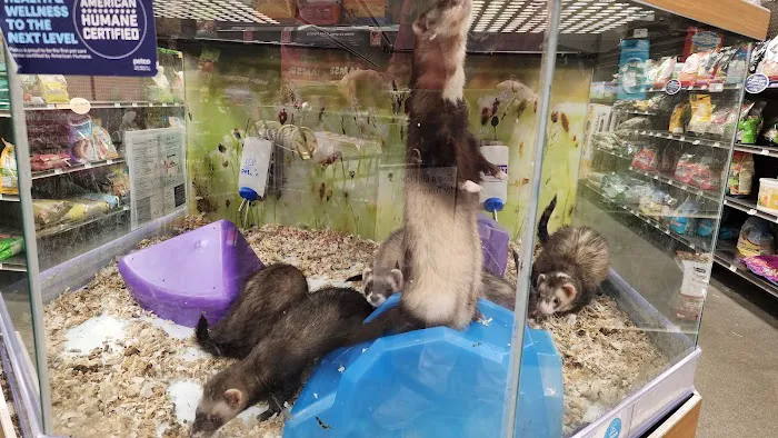 Petco Picture 2