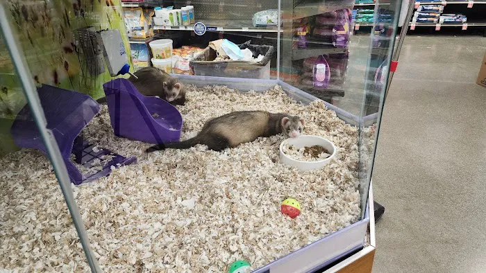 Petco Picture 3