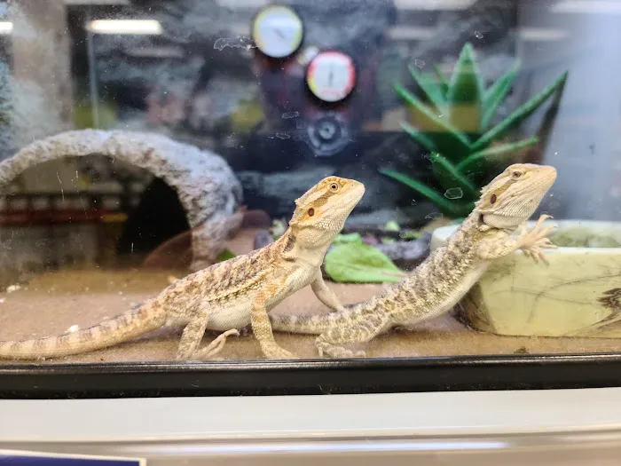 Petco Picture 6