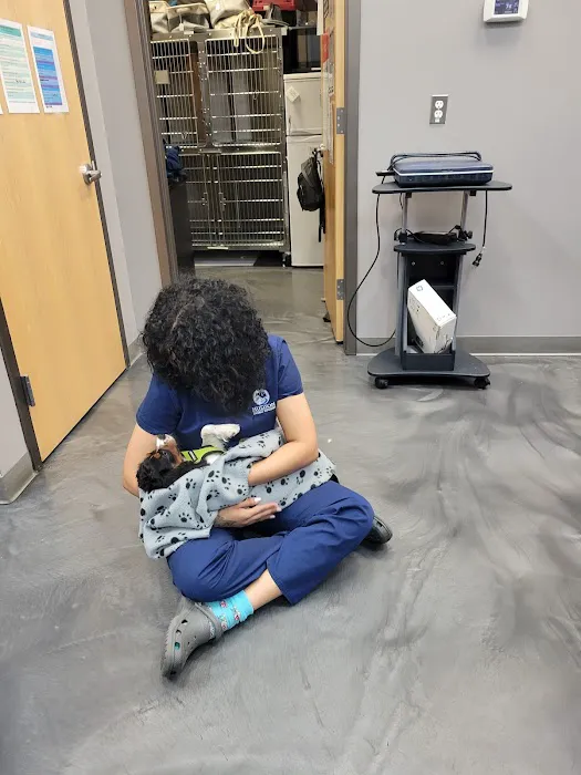 Hudson Animal Hospital Picture 10