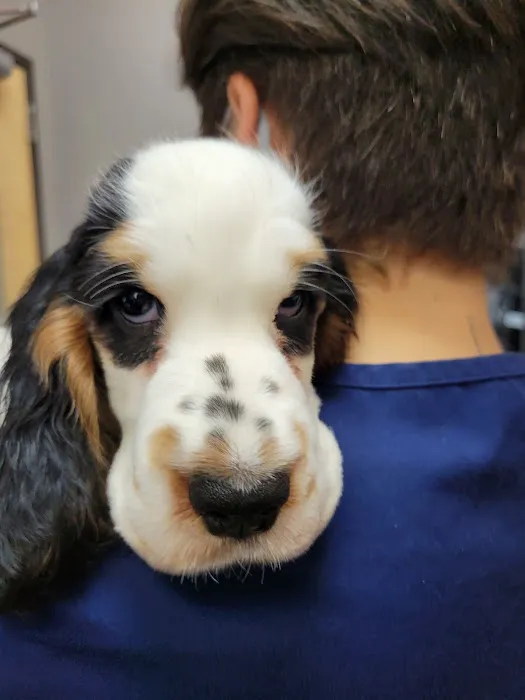Hudson Animal Hospital Picture 6