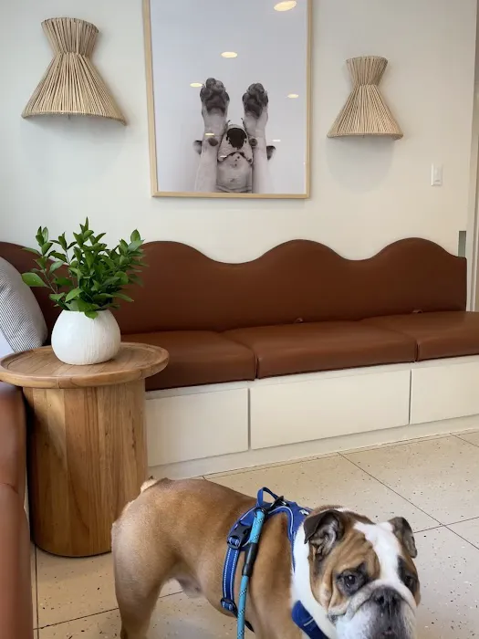 Lincoln Square Veterinary Hospital Picture 6