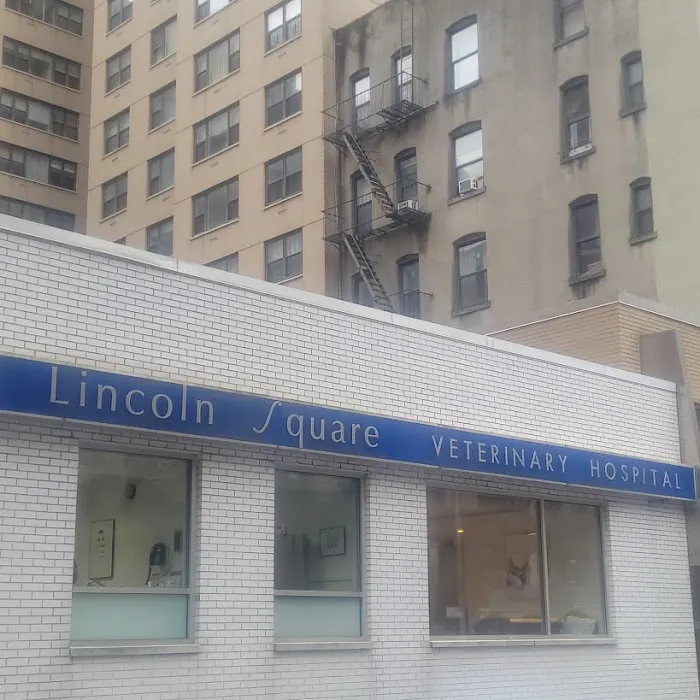Lincoln Square Veterinary Hospital Picture 5