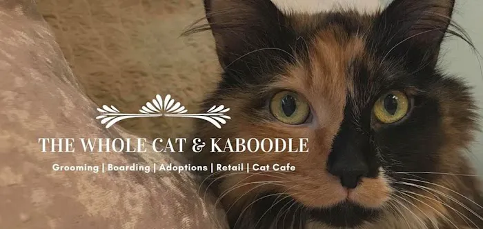 The Whole Cat and Kaboodle Picture 8
