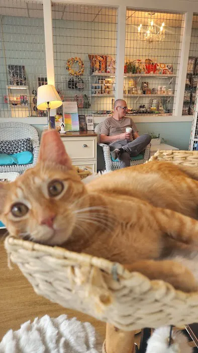 The Whole Cat and Kaboodle Picture 7