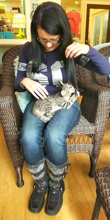 The Whole Cat and Kaboodle Picture 6