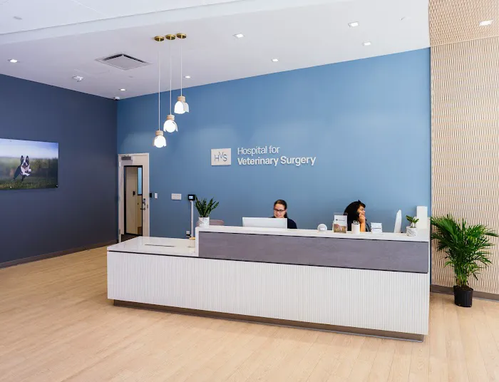 Hospital For Veterinary Surgery Picture 10