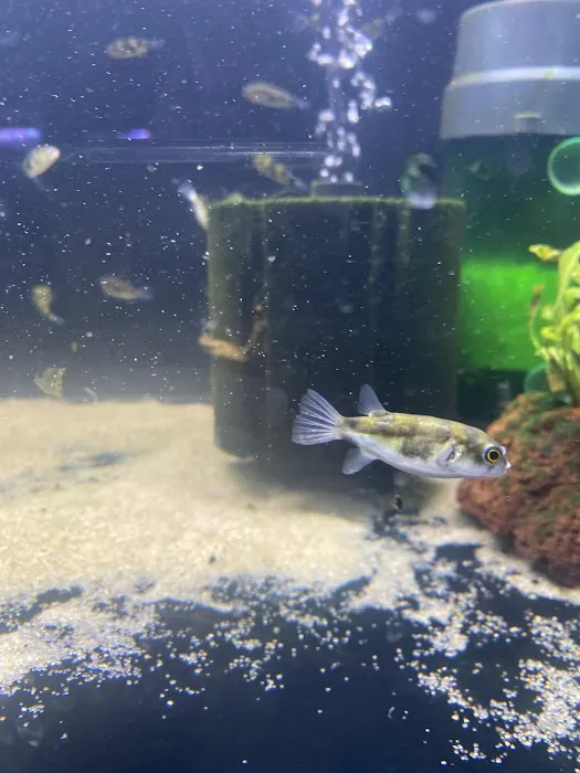 Moonlight Aquatics Picture 8