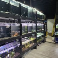 Moonlight Aquatics ico