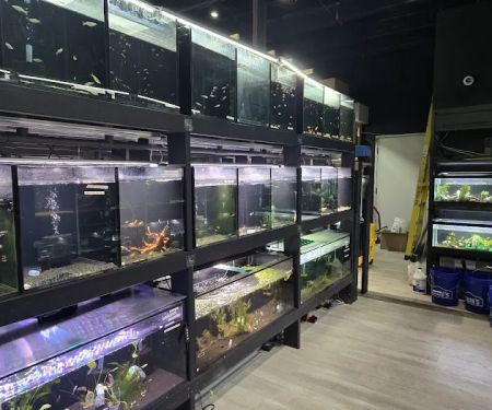 Moonlight Aquatics