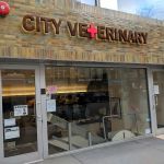 City Veterinary Care