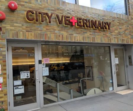 City Veterinary Care