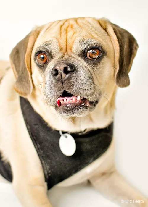City Veterinary Care Picture 7
