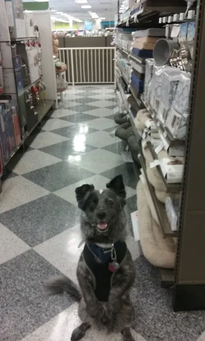 Petco Picture 5