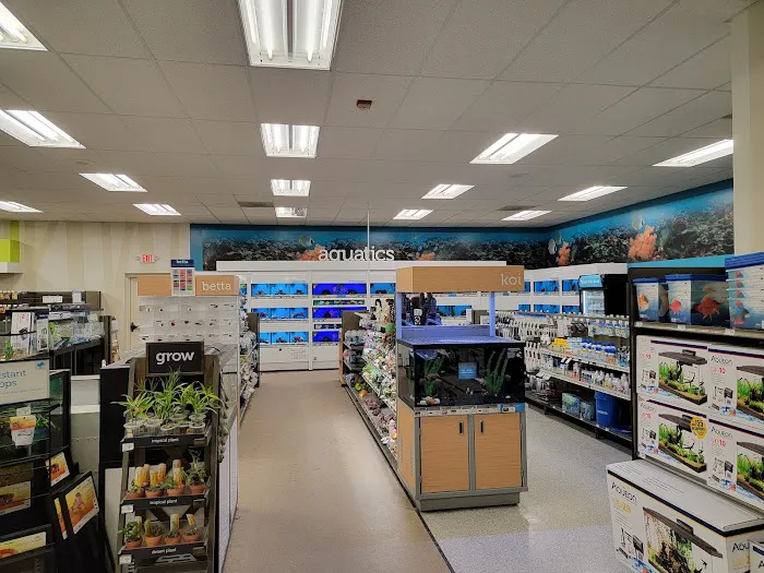 Petco Picture 7