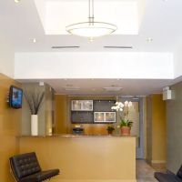 New York Cat Hospital ico