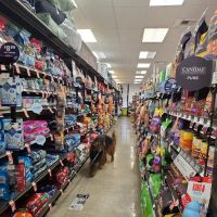 Petco ico