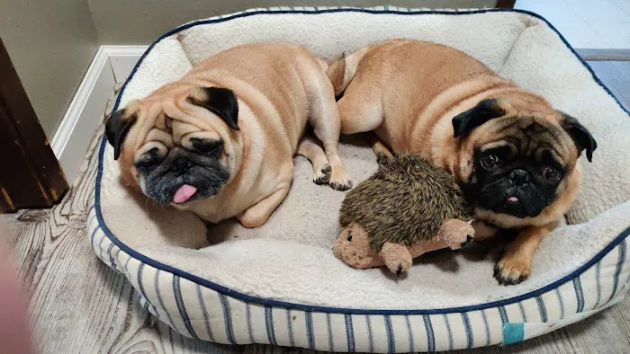 Petco Picture 3