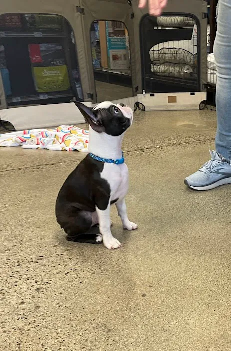 Petco Picture 8