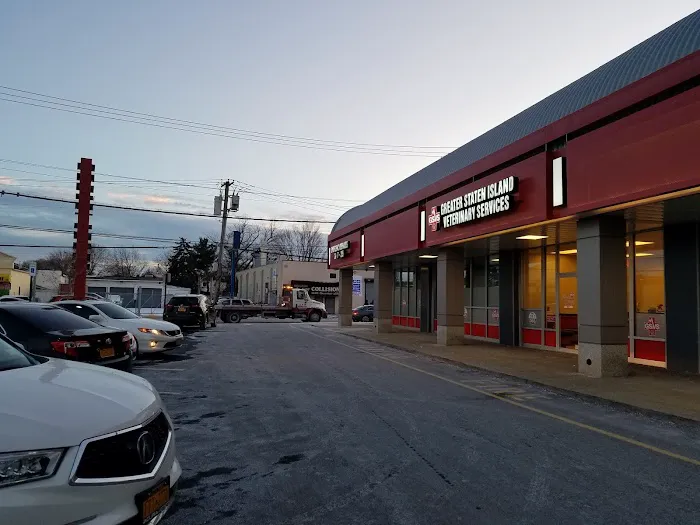 Greater Staten Island Veterinary Services Picture 8